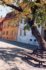 56.jpg  56